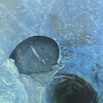 "Inspection image showing a hole in a sewer pipe, a potential entry point for rats into a house.